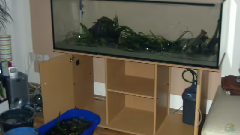 ...der Januar von Mario74 (8)