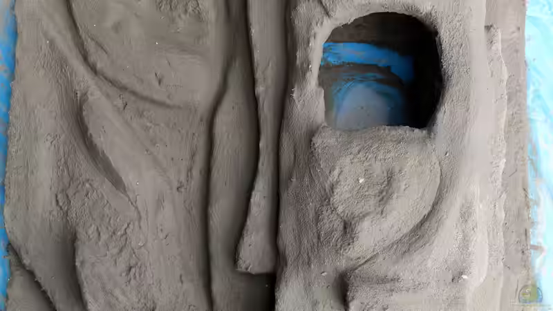 ...der mir nicht gefällt-ab in die Tonne von Cruiser Bruno (36)