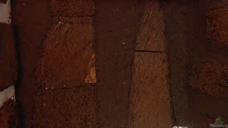 ...der Rest wird mit RFB-Substrat ausgefugt von Junglist (25)