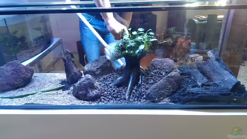 ...die erste Gestaltung von RenSa (6)