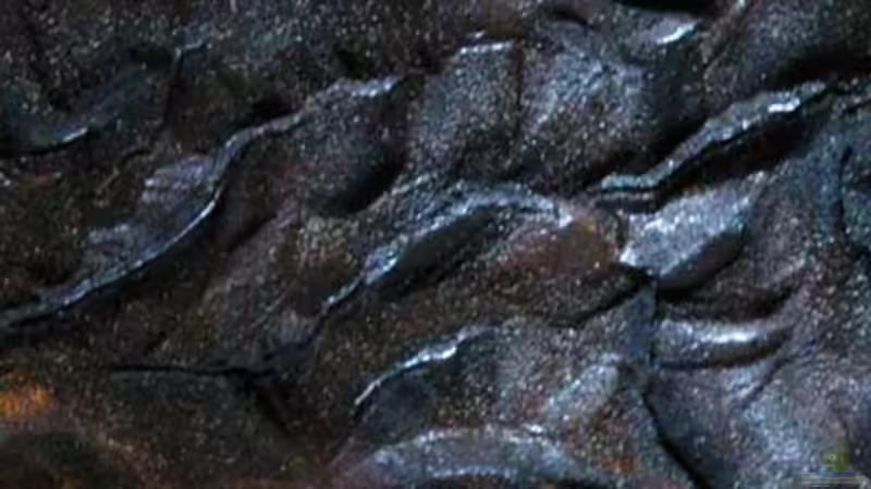 ...die Rückwand .. von AjakAndi (19)