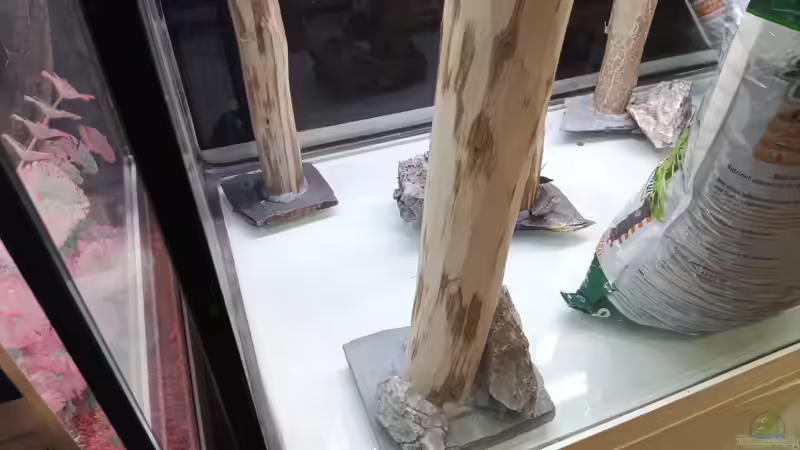 ...die Stämme wurde mit AQ-Silikon auf die Schieferplatten verklebt von Torsten Bullmahn (4)