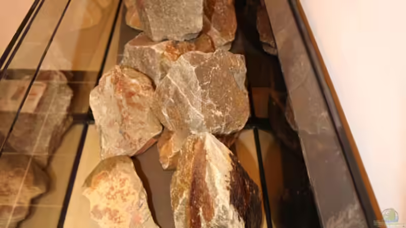 .. die Steine/ Felsen werden dekoriert .. von AjakAndi (12)