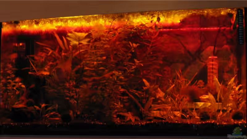 ...Dimmen von Gelb ins Rot... von Tudelui (19)