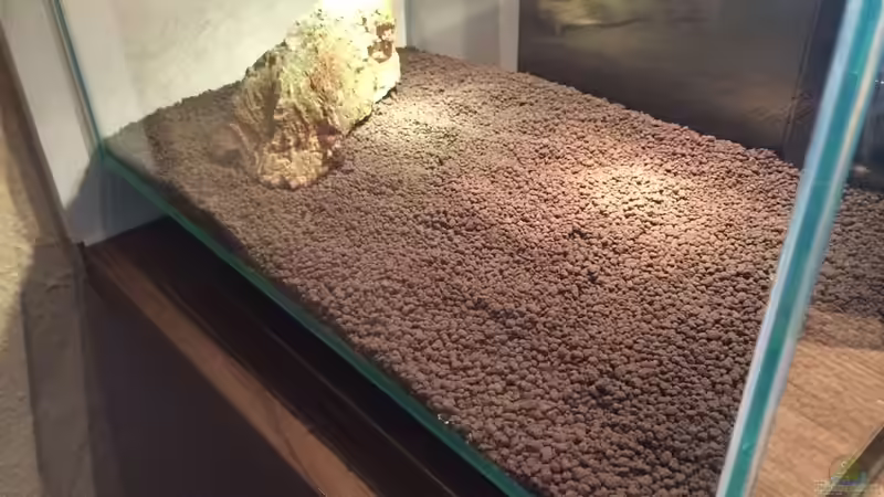 ...dry... von hawaii (3)