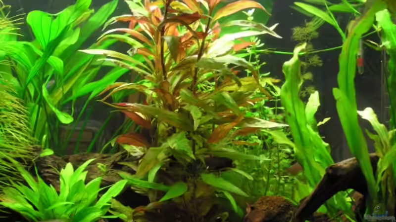 .. ein kleiner Bildausschnitt von Mario Theiß (4)