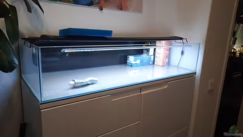 ...ein neuer HMF wurde eingeklebt von Berlin42 (7)