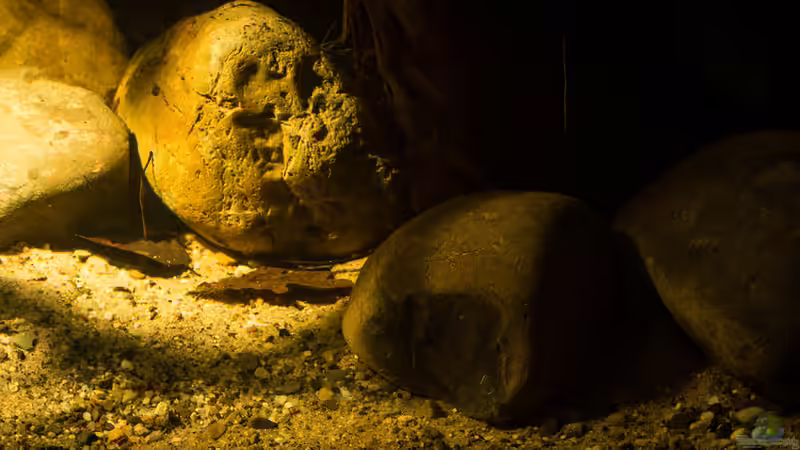 .. ein weiterer Blick ins Becken ´Rio Tapajos´ .. von AjakAndi (4)