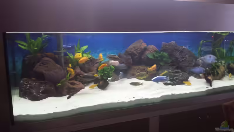 ...es sah nach viel Arbeit aus...packen wirs an! von Thomas u. Gabriele P. (23)