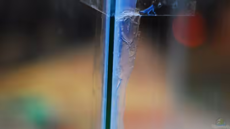 ...etwas unsauber allerings =) von TimTamTellerlein (3)