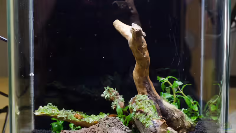 ...fertig eingerichtet... von Julian H. (4)