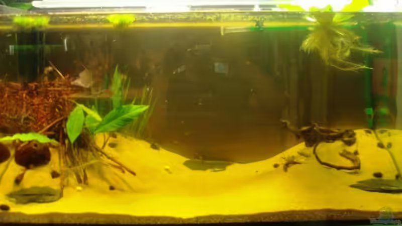 ...frisch eingerichtet! von aetti (3)