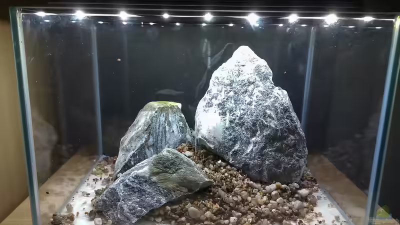 ...Fundament aufgeschüttet... von Julian H. (11)