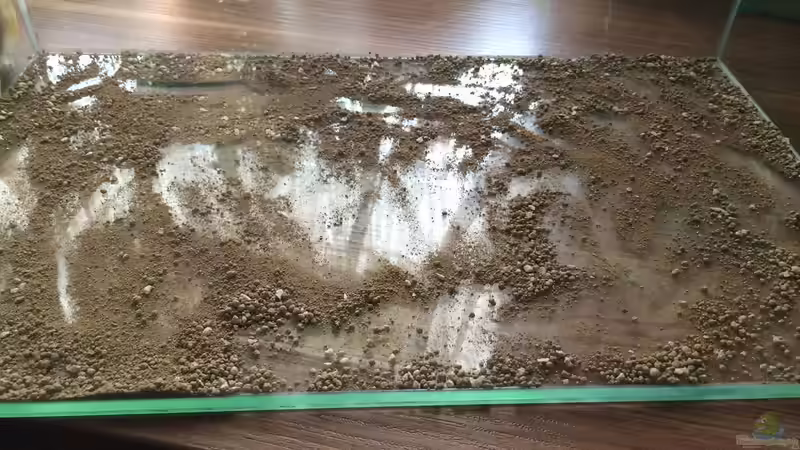 ...grounded... von hawaii (2)