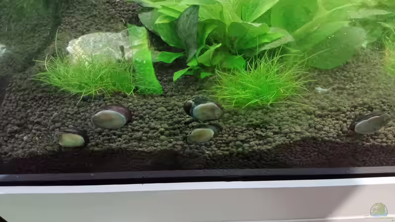 ...hier arbeiten die Jungs sogar in der Truppe ^^ von Torsten Bullmahn (53)