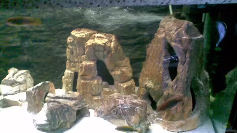 ...hier auch... von Torsten Bullmahn (10)