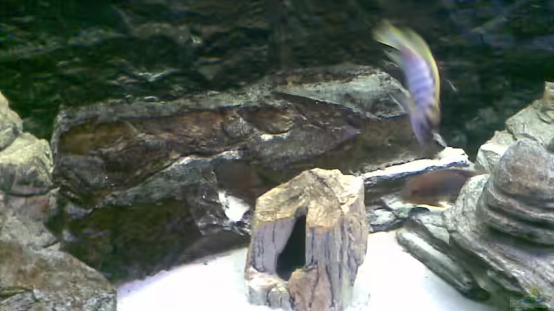 ...hier noch mehr Felsen... von Torsten Bullmahn (9)