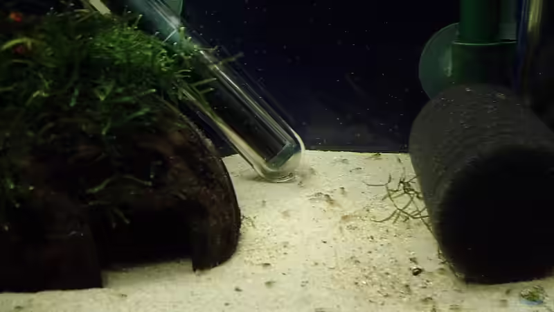 ...hier schon wieder etwas besser... von Torsten Bullmahn (25)