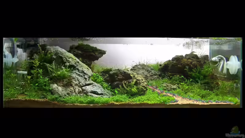 ...Idee!:)) von Fredo Fuss (6)