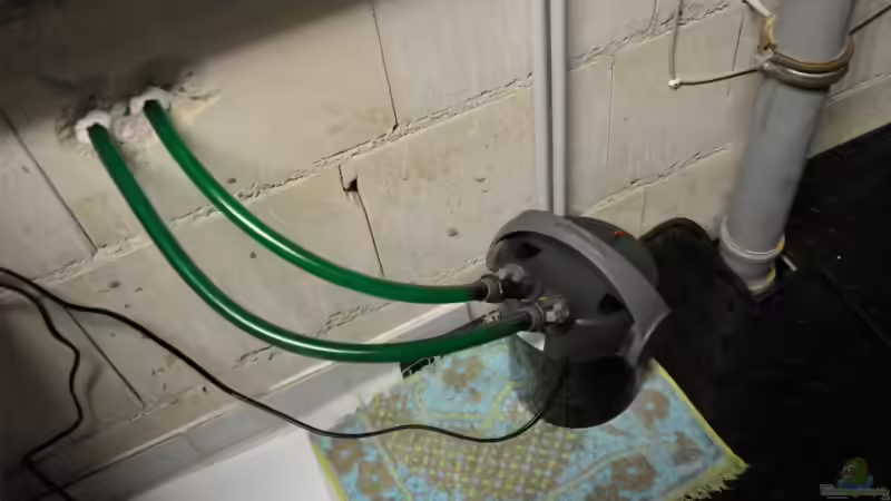 ...in den Heizungskeller nebenan. von Micha 86 (4)