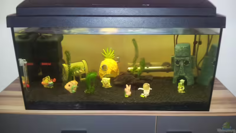 ...jetzt haben wir auch ein Kinderbecken ( 60 l ) :-)) von oliK (11)