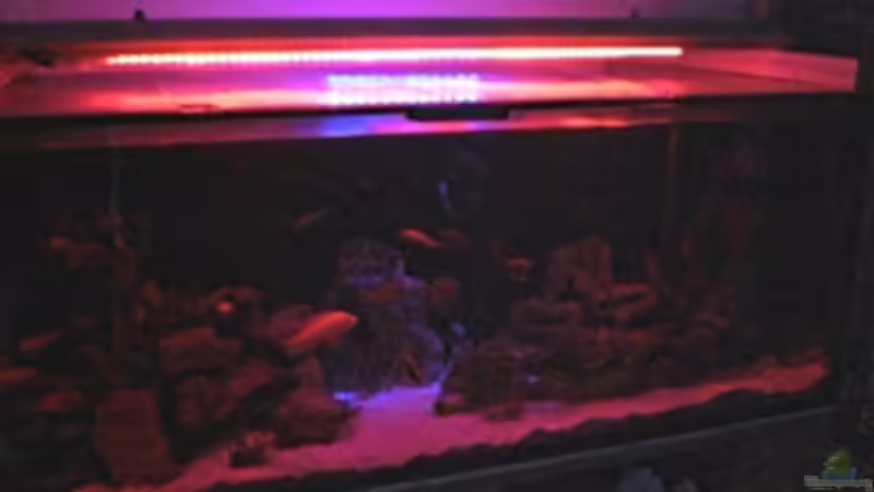 ...letzte Abendsonne und Mondaufgang... von Schdäff (18)