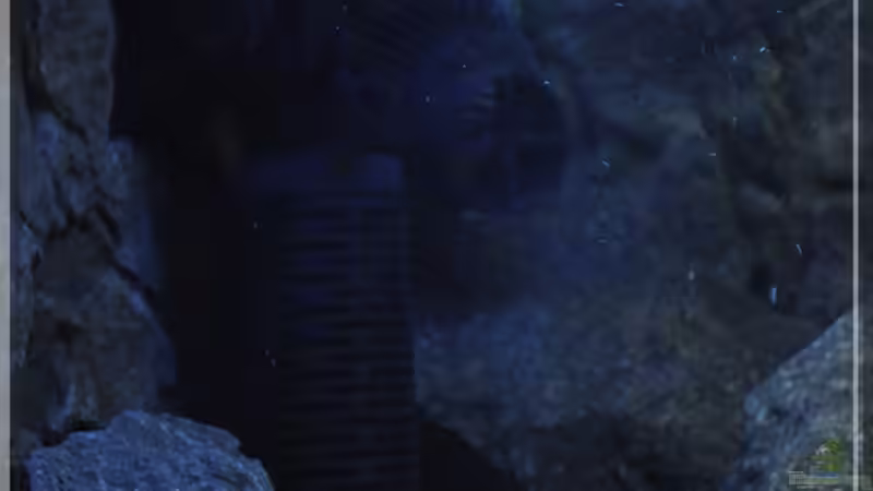 ...macht zusammen ´Strömung XXL´...! :-) von ***ELLIS*** (48)