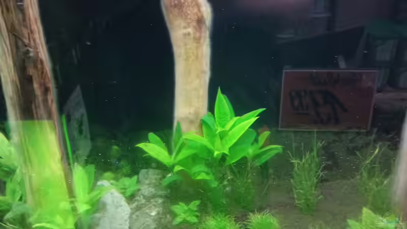 ...man sieht das nicht nur die Pflanzen wachsen ^^ von Torsten Bullmahn (28)