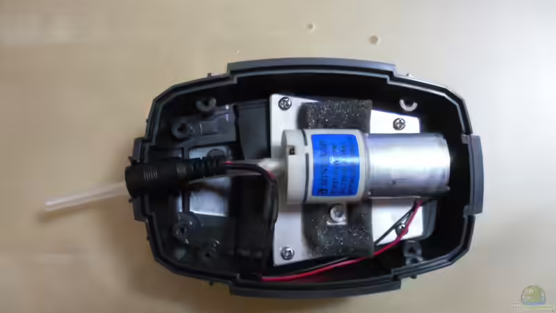 ...man sieht schon was es werden soll... von Jens Kändler (32)