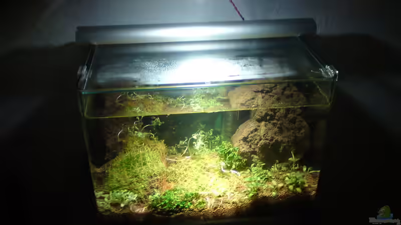 ...mit 37°Linse von Aquamaster (9)