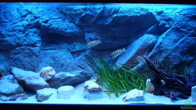 ...mit MarinGlo von TheToxicAvenger (19)