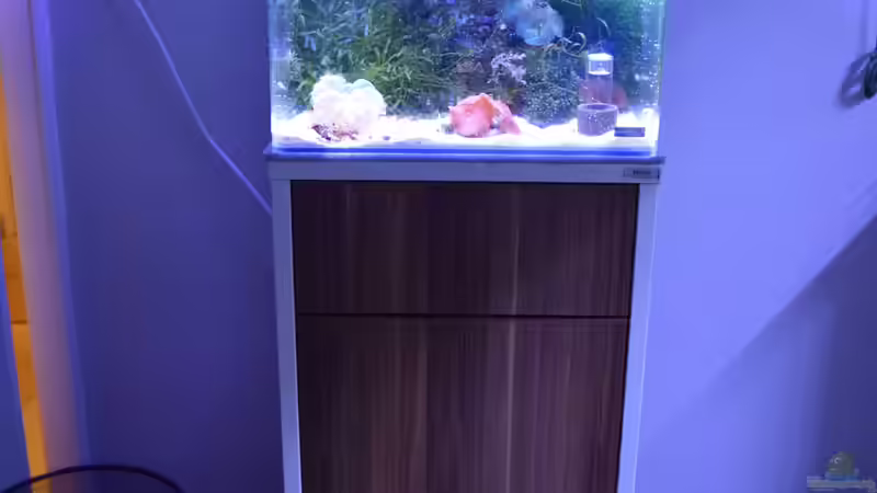 ...mit neuem Unterschrank von Firma Müller von Junglist (4)