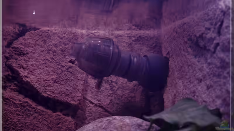 ...mit Power-Diffusor für gute Oberflächenbewegung... von ***ELLIS*** (32)