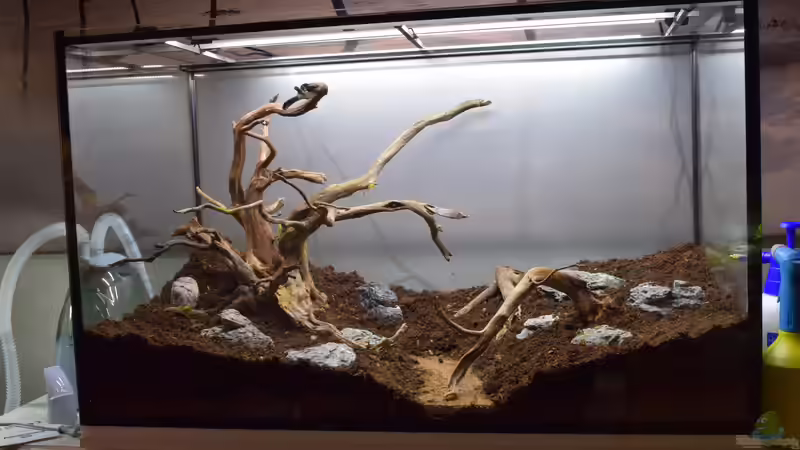 ...mit Substrat...fertig von Junglist (54)