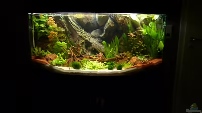 ...nach drei Wochen von Stefan Runke (5)