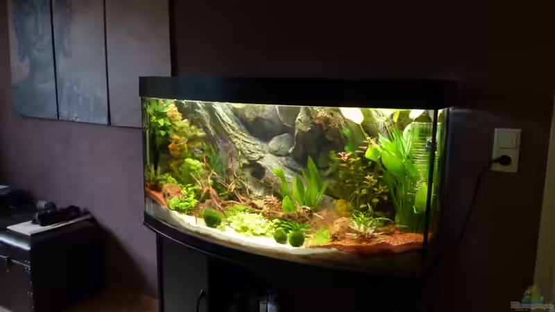 ...nach drei Wochen von Stefan Runke (6)