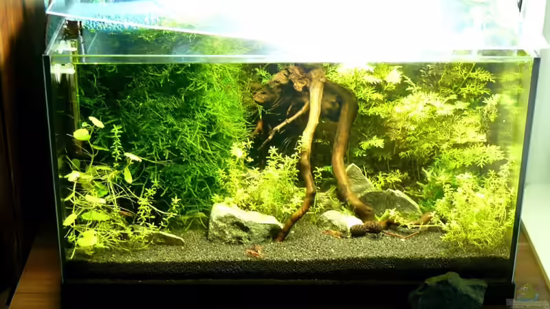 ...neben meinem Schreibtisch von A. G. (3)