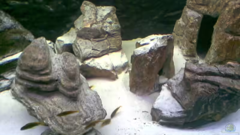 ...noch mehr Felsen... von Torsten Bullmahn (12)