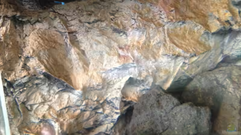 ...ohne Beleuchtung von der Steirer (94)