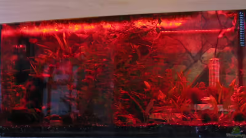 ...Rot.... von Tudelui (20)