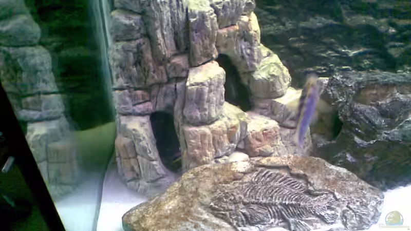 ...sehr schön ;-) von Torsten Bullmahn (11)