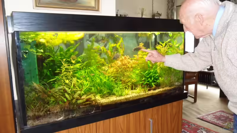 ...spielend mit dem genesenden Barschbock. von Bungi (38)