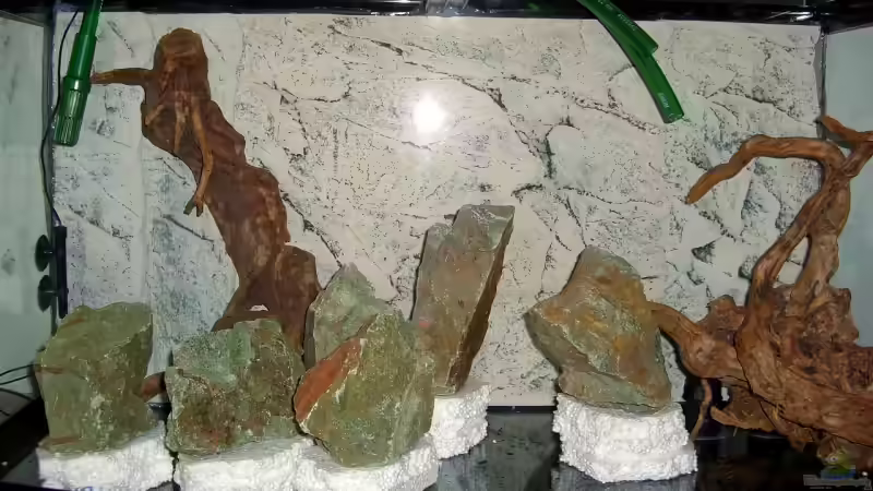 ...Stellprobe mit Wurzeln... von Olaf D. (10)