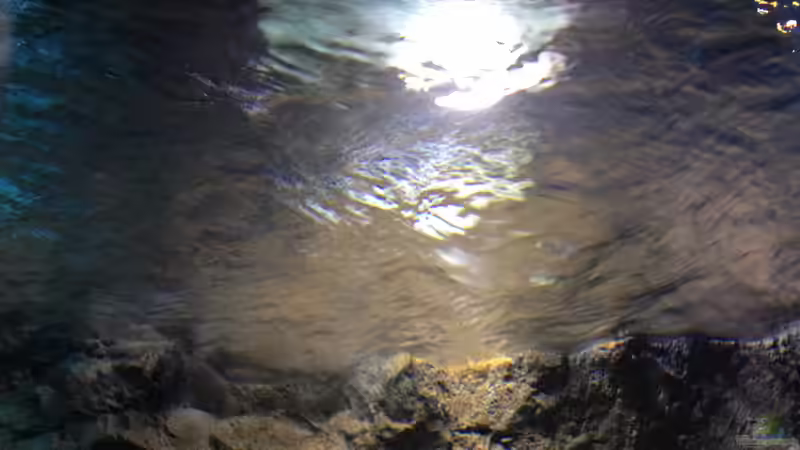 ...Stone bay area von der Steirer (90)