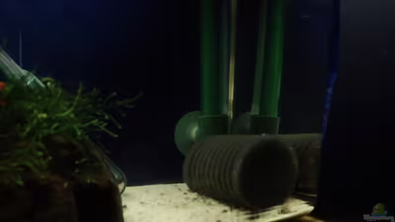 ...Tetra Innenfilter... von Torsten Bullmahn (17)