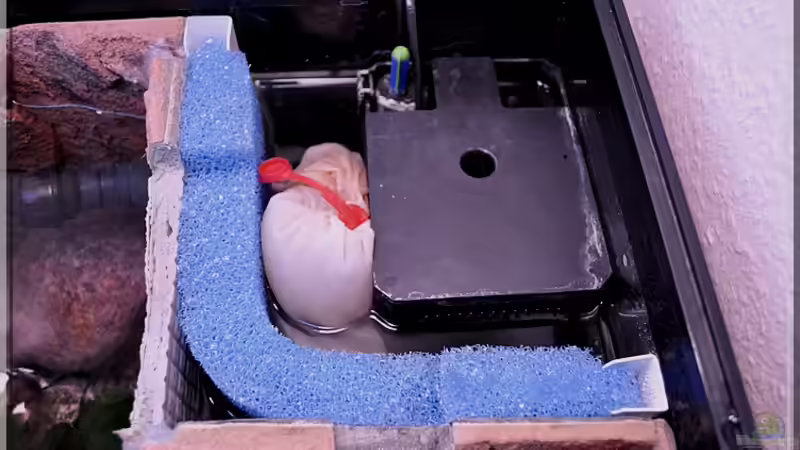 ...umbauter JUWEL-Innenfilter... von ***ELLIS*** (31)