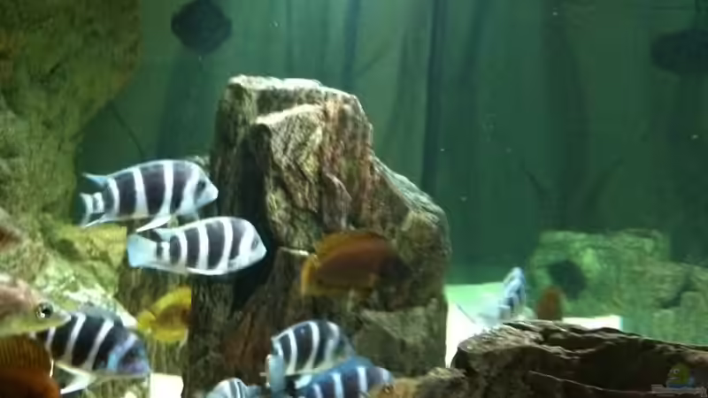 ...und das Becken von links von Manuel Jettki (14)