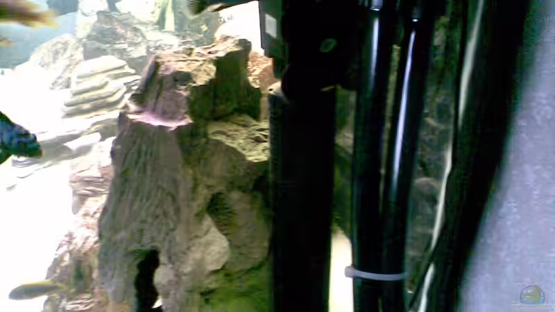 ...und die RESUN SP 3800L... von Torsten Bullmahn (20)