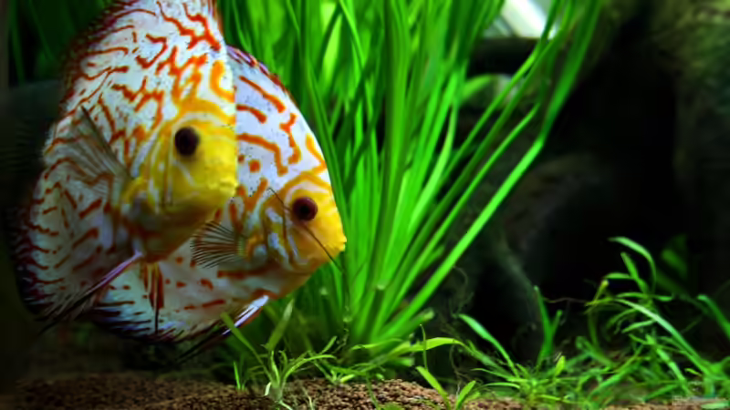 ---und eine Drehung--- von Sue (47)