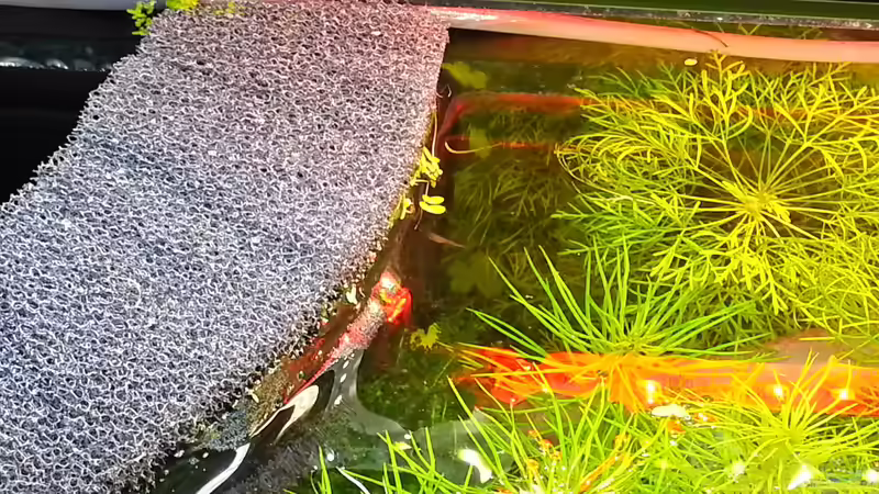 ...und hier der offensichtlich ??ltere von Nick3 (70)